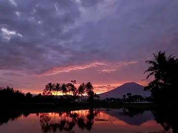 #sunsetvibes 