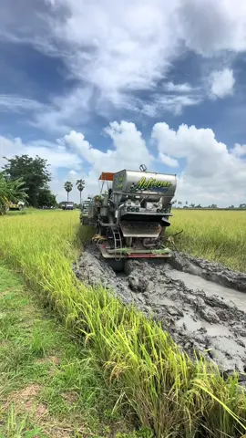 เสียงเทอร์โบเดี่ยวมันกะหวานหูเหมือนกันนะเนี่ย…🫣🐲💯❤️‍🔥#อาโกสั่งลุย🦾 #ช่างหลอดไทยแลนด์👍💯 #ช่างอาร์ตเจริญการช่าง🐲 #รถเกี่ยวอ่างทอง🔰🥰 