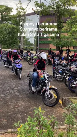 #fyp #rxkingindonesia #kingrattleindonesia 