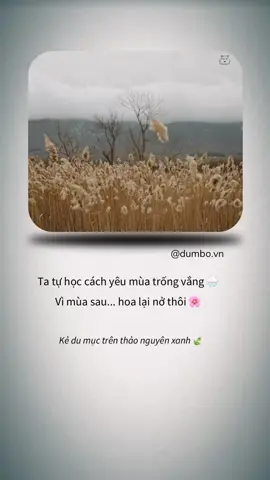 Ta tự học cách yêu mùa trống vắng 🌧 Vì mùa sau... hoa lại nở thôi 🌸 #dumbo #fyp #viralvideo #binhyen #chualanh 