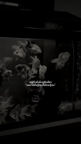 #เธรด #เธรดคำพูด #เธรดความรู้สึก 🚷