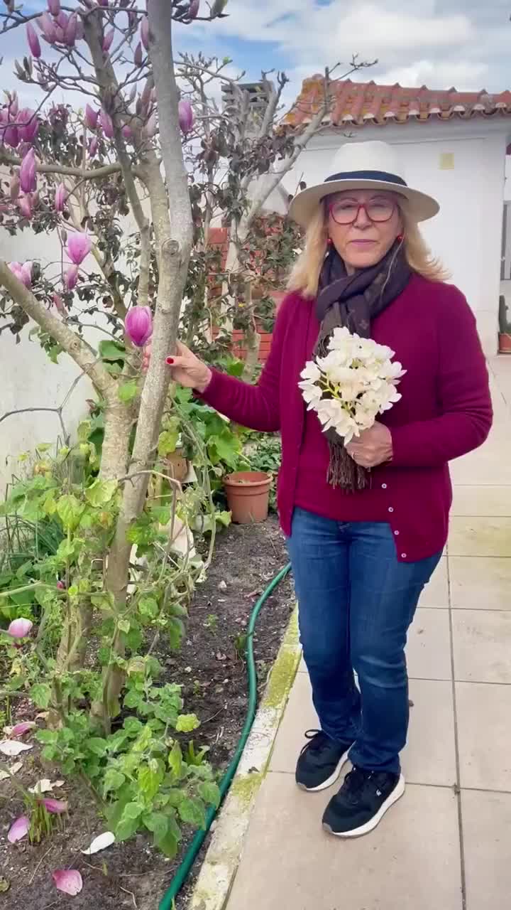 🌸 A natureza tem uma forma linda de nos lembrar da beleza da vida! Cada flor é um sinal de amor, de esperança e de renovação. 💫 💖 Que o seu dia floresça com a mesma luz e encanto desta magnólia magnífica!