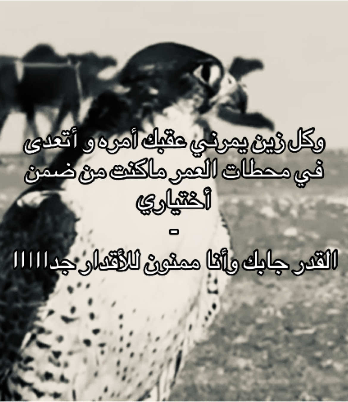 #fyp #explore #4u #fy 