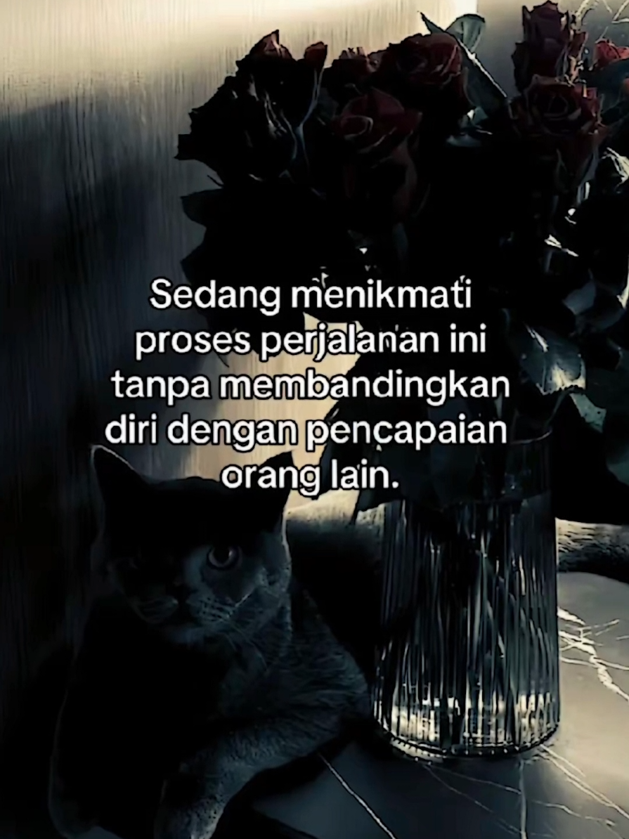 #CapCut #storywii_ #JJCapCut 