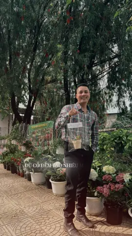 Em đừng lo, anh ở Đà Lạt bán sen đá, tối nay chúng ta có cơm hộp rồi ☺️#thoithanhxuan 