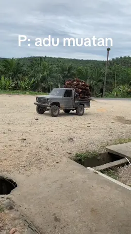 Canda#promomakan1010 #langsirsawit #sawitontiktok #taftgt4x4 