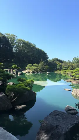 🥰🥰 #nature 