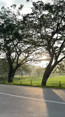 pagi yang cerah tapi…