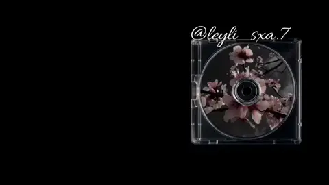 janym alýar sözleriň🌷 #türkmenistan🇹🇲 #rek #fypp #tiktokviral #lyrics 
