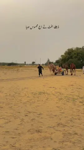 #lyrics #desert #peace #fyp 