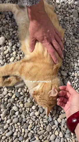 💌 im emotional now #artofloving #Love 