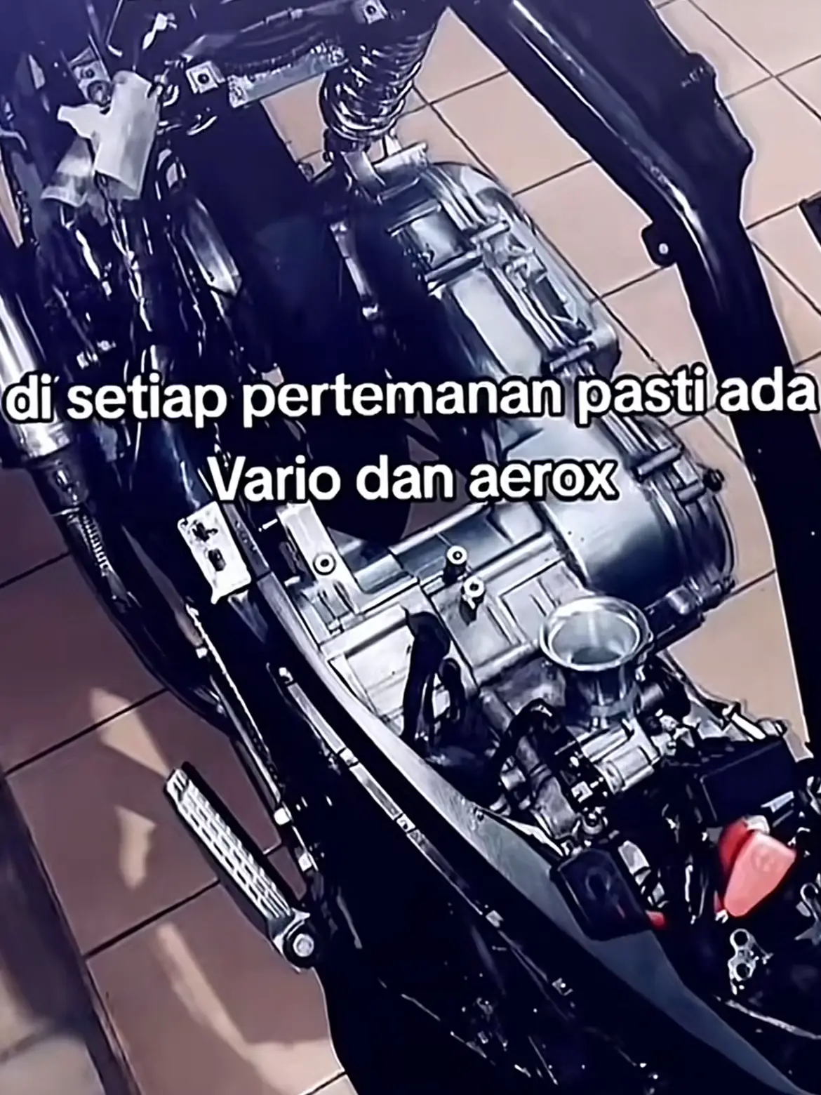 duo stecu @𝘿𝙏𝙨𝙖𝙠𝙞𝙩𝙝𝙖𝙩𝙞4 
