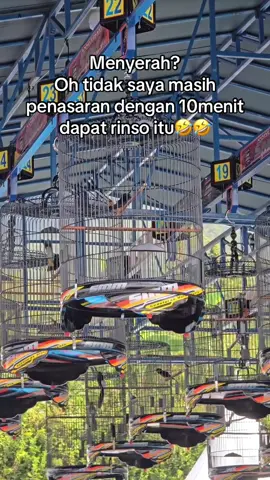 🤣🤣🤣 #muraibatu #smm