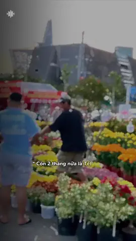 Nghĩ tới cảnh tết nó đã gì đâu...#nhachaymoingay #tet #tet2026 #tetnguyendan2026 #xuhuong #xuhuongtiktok #nhacnaychillphet #thanhthoiluottet 