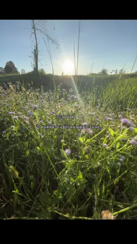 😭😭#เธรดของพิชญา☺️ #fyp #เธรดความรู้สึก #ฟืดๆๆ #ฝากติดตามด้วยนะ @TikTok 