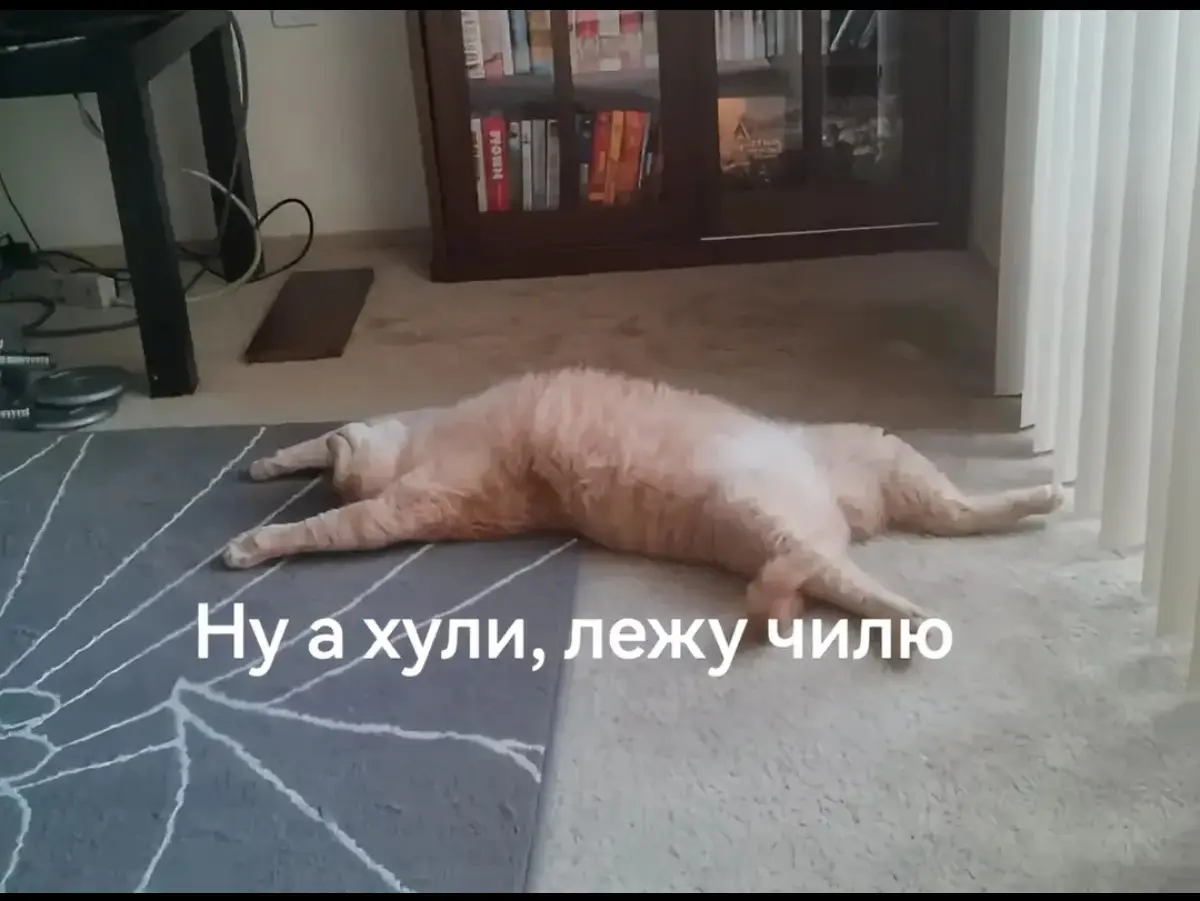 #rek #fyyyp