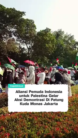Massa aksi dari Aliansi Pemuda Indonesia untuk Palestina (API-Palestina) menggelar demonstrasi di kawasan Patung Kuda, Monas, Jakarta Pusat, Minggu (12/10).  Dalam aksi tersebut, massa mengibarkan bendera 151 negara yang mendukung two state solution sebagai bentuk solidaritas terhadap kemerdekaan Palestina. Bendera-bendera itu dibagikan panitia dan dikibarkan berdampingan dengan bendera Merah Putih. Lautan massa yang mengenakan pakaian bernuansa putih dan membawa atribut dukungan untuk Palestina juga menyanyikan lagu-lagu perjuangan dan seruan solidaritas. Akibat padatnya peserta aksi, arus lalu lintas di Jalan Medan Merdeka Selatan ditutup, sementara di Jalan Medan Merdeka Barat sempat tersendat karena banyaknya massa yang memadati kawasan tersebut.