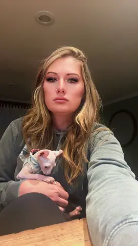 Lord ZiB never cooperates 😅 #sphynx #rottenkitty