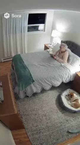 Unbelievable moment — a dog saves his elderly owner from a monkey attack! 🐶💥🐒 #RealLifeHero #sora #viraltiktok 
