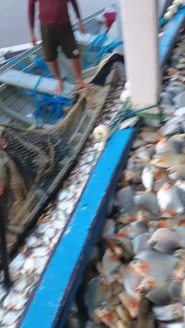ESSE É SÓ PRA QUEM SAABE😎