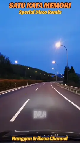 Satu Kata Memori#nostalgiakenangan #tembangkenangan #satukatamemori #djremix #discoremix 