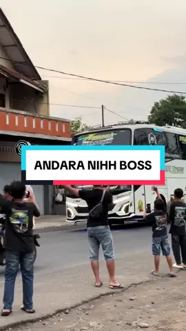@QQTRANS||andara 