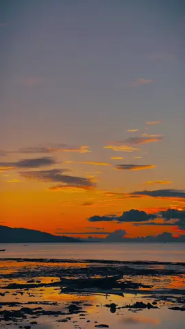 Morella✌️#ambonpride🏝🔥 #morella #fyp #senjasorehari #foryoupage 