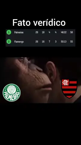 paternidade garantida  #resenha #palmeiras #flamengo 