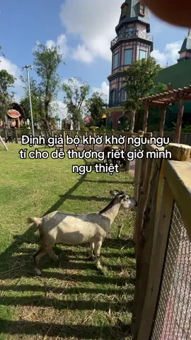 #VinWonders #GreenCreator #dulich#abl7qzu #vinwondervuyen