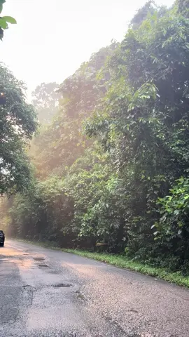Bukit barisan degan kesejukan nya #kruipesisirbaratlampung #healing #lampung #fyppppppppppppppppppppppp #fyp 