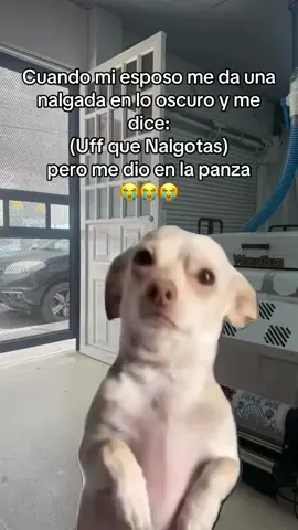 #fyp #humor #fypviralシ #fypviralシ 