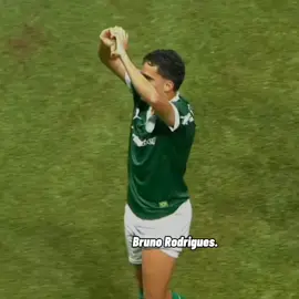 ELE MERECE DEMAIS, DEPOIS DE QUASE DOIS ANOS VOLTAR A MARCAR, E FAZENDO SEU PRIMEIRO GOL PELO PALMEIRAS, ELE VAI JOGAR AINDA MUITO!! 💚💚 || #palmeiras #brunorodrigues #superação #juventude #edit 