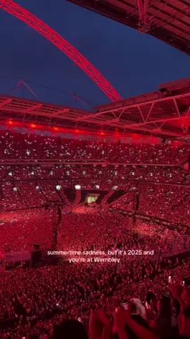 summer core memory🌹#throwback #lanadelrey #london #concert #foryou 