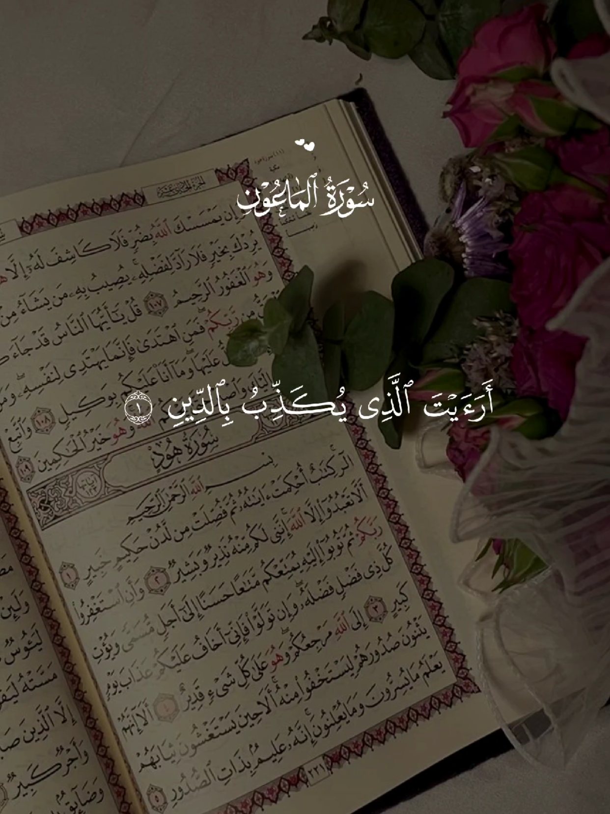 #قران #quran #قران_كريم #Allah #اللهم_صلي_على_نبينا_محمد 