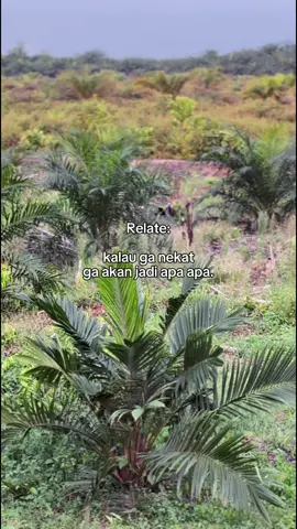 Kalau gk sekarang mau kapan lagi ? Nunggu masa tua udah kadaluarsa😜🔥🔥#kulisawitindonesia #petanisawitindonesia🇮🇩🇮🇩🇮🇩🌴 #sawitontiktok #4upageシ #tbm 