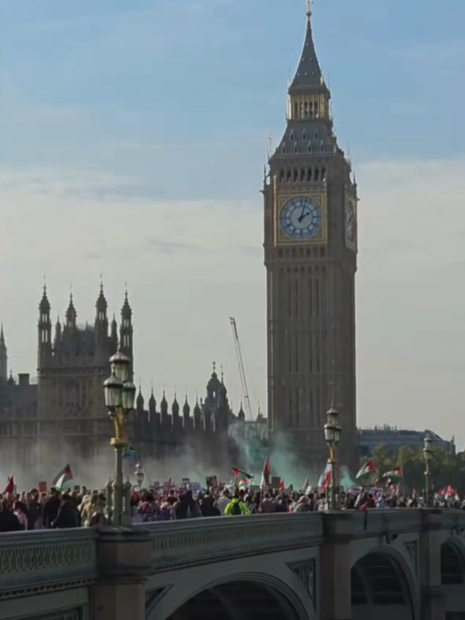 It's not over until they pack up and go home!!!  #london #londoncity #protest #viarl #fyp 