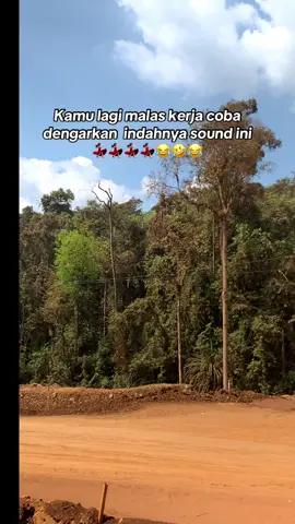 Langsung mode pesawat 🤣🤪💃🏻@🅰️K🅱️🅰️R @Hauling_Story @💫𝘿𝙧𝙞𝙫𝙚𝙧 𝙏𝙚𝙢𝙗𝙖𝙠💫 @KopiHitam☕ @? @Mang  #storytambang #deivermudapunyacerita #soundviral #fyp #fyppppppppppppppppppppppp 