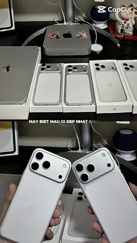 Theo mình màu bạc là đẹp nhất nha 🤣🤣🤣#iphone17 #愛知 