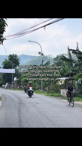 ready Ban Vulkanisir monggo bisa order via DM tiktok free ongkir untuk seluruh kawasan yogyakarta kita ready semua unit Ban  1. Ban Vulkanisir  2. Ban Bekas like new 3. Ban baru segala merk & ukuran untuk yang mau langsung datang ke kantor monggo silahkan😇  lokasi📍: UJANG BAN Jl. Ringroad Selatan, Tanjung, Bangunharjo, Kec. Sewon, Kota Yogyakarta, Daerah Istimewa Yogyakarta #banvulkanisir #jualbeliban #galaubrutal🥀 #sadvibes #guyonwaton 