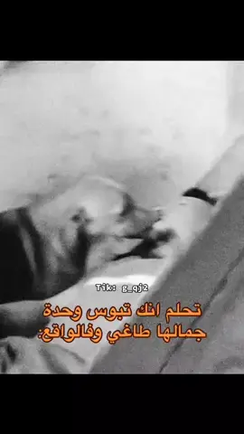 #الشعب_الصيني_ماله_حل😂😂 