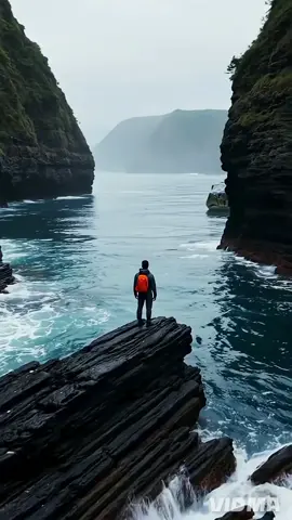 #creatorsearchinsights #fyp #fypp #fyppp #5pasidebine 