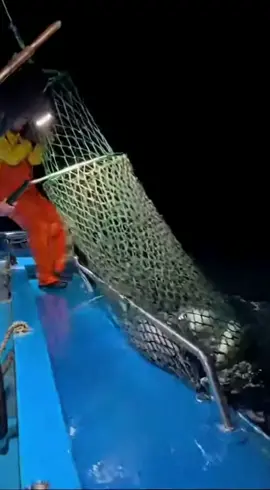 Mermaid or a creature caught on fish boat. #viral #horrortok #realorfake #SeaMonster #deepseamystery 