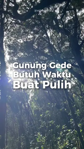 Pendakian Gunung Gede Pangarango di tutup mulai besok 13 Oktober 2025 Kalau kita benar cinta lingkungan, biarkan dia beristirahat tanpa gangguan. Gunung, hutan, dan segala isinya juga butuh waktu untuk menyembuhkan diri dari jejak yang kita tinggalkan. #gedepangrango #gununggede #tnggp 