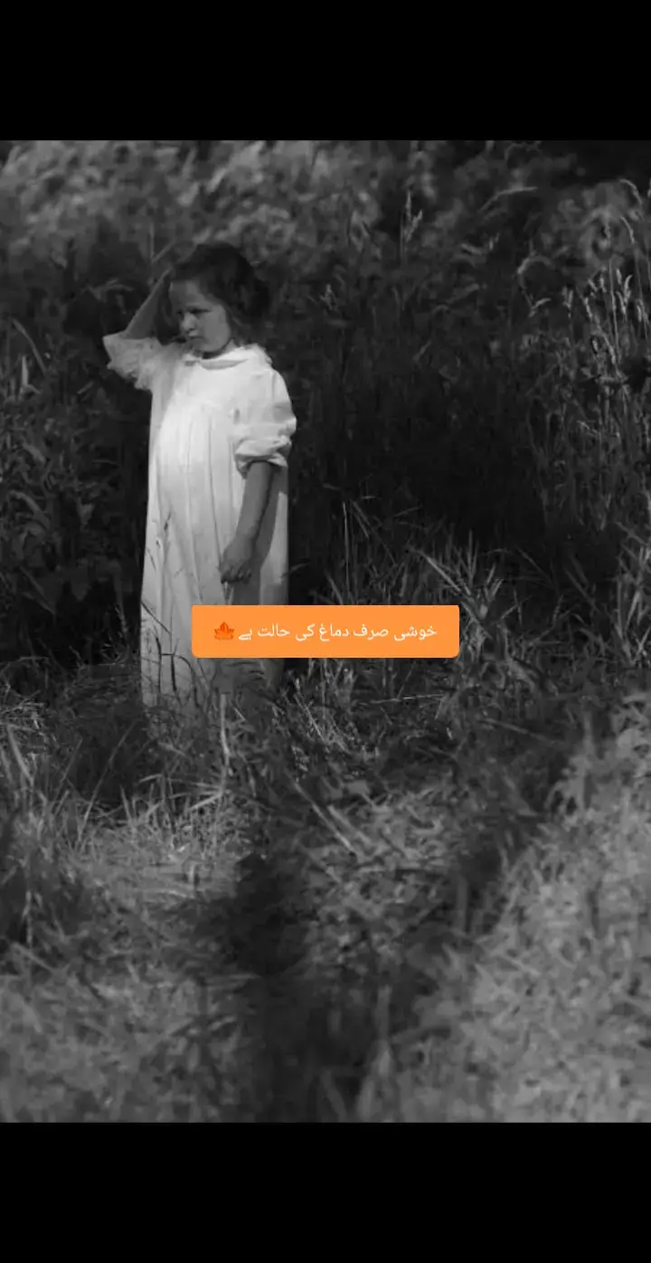 #creatorsearchinsights #fyppppppppppppppppppppppp #foryoupage #ti̇ktok #fypviralシ @TikTok  @PoetRy Status 