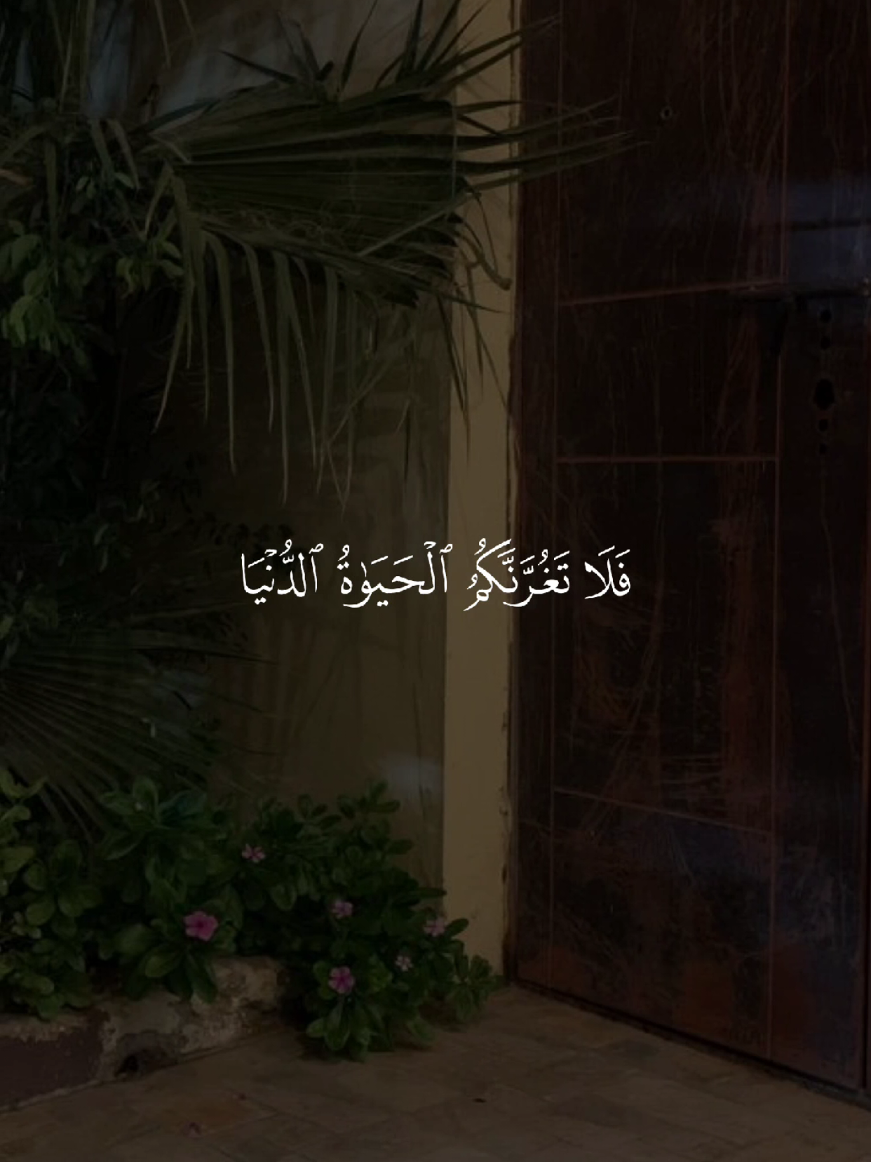 #قران #quran #قران_كريم #quran_alkarim #القران_الكريم 