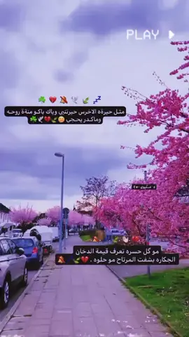 مثـل حيرةه الاخرس حيرتنيي وياك باكـو منةة روحـه وماكـدر يحـجي 🫤🍃💔 #لايك رحمه لاولديكم صعدوو #المانيا_السويد_النمسا_النروج_دينيمارك  #عبارات_حزينه💔  #عاده_نشر_فيديو🔄 