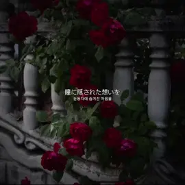 幽閉サテライト - 瞳に隠された想ヒ #fyp #touhouproject #눈동자에숨겨진마음 #touhou #東方 