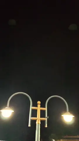 #fypppppppp🚀  @ali_jpz1 