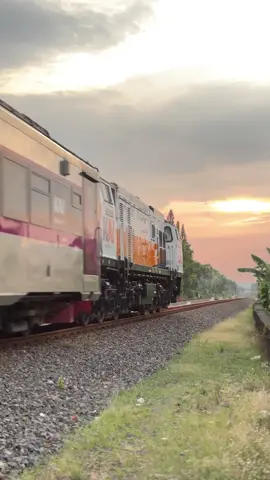 sore hari di daop 4 semarang || IF : KA 21A Argo Muria dengan relasi SMT-GMR #kai #argomuria #fyp #daop4semarang #cc206 