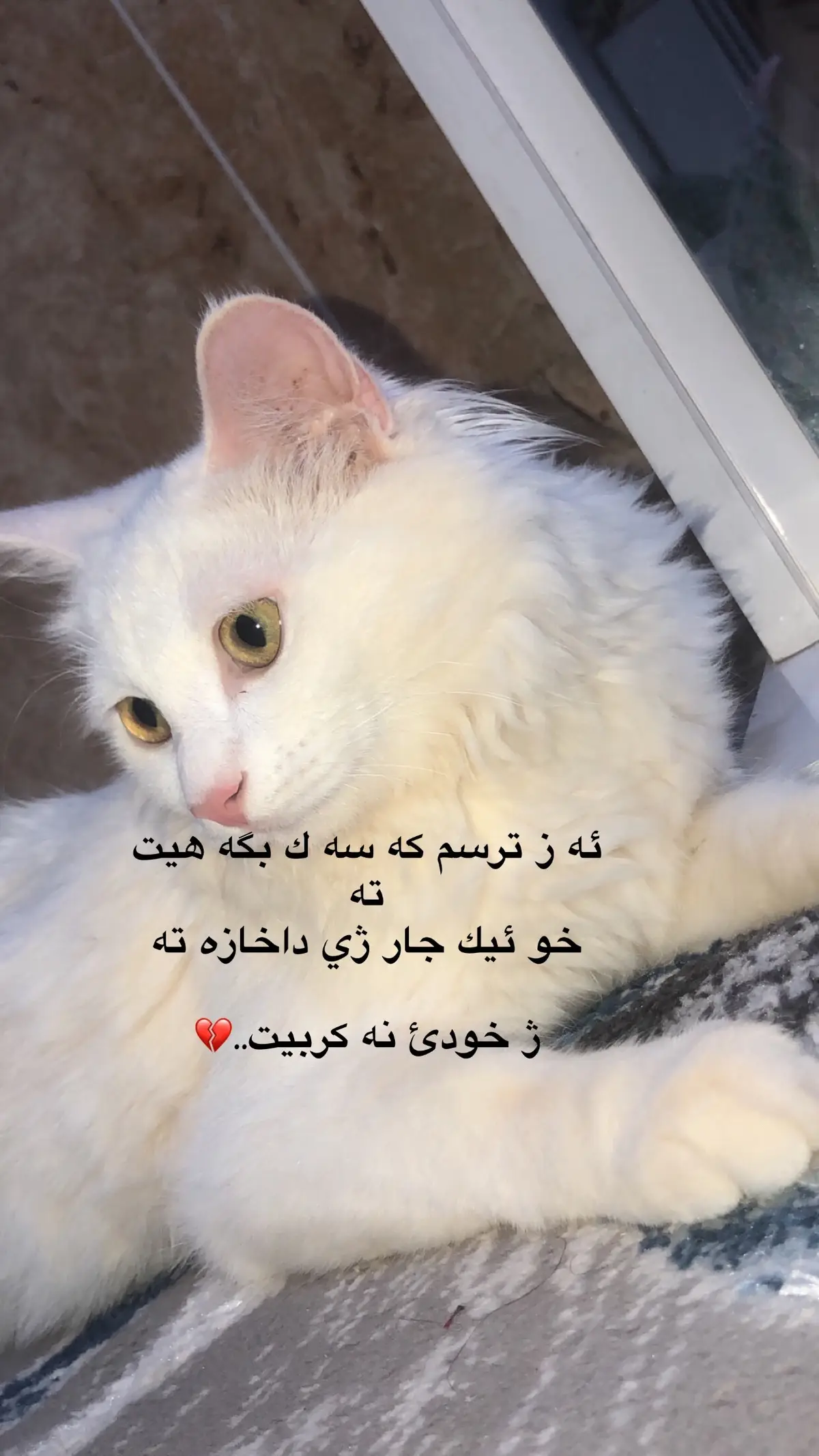 #foryoupage #vypシ #viral #الحمدالله_علی_کل_حال❤ #قران_كريم 